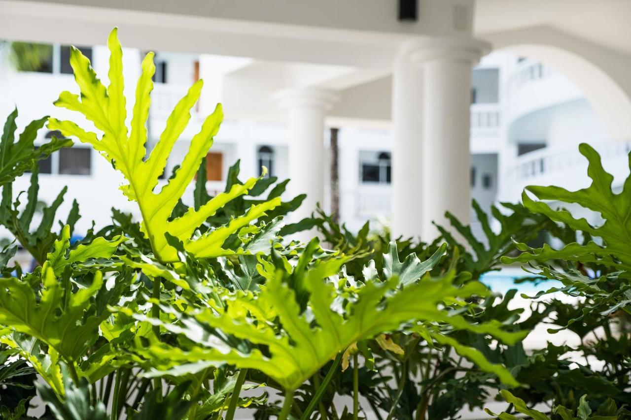 Ocean Palms Residences Cabarete Eksteriør billede